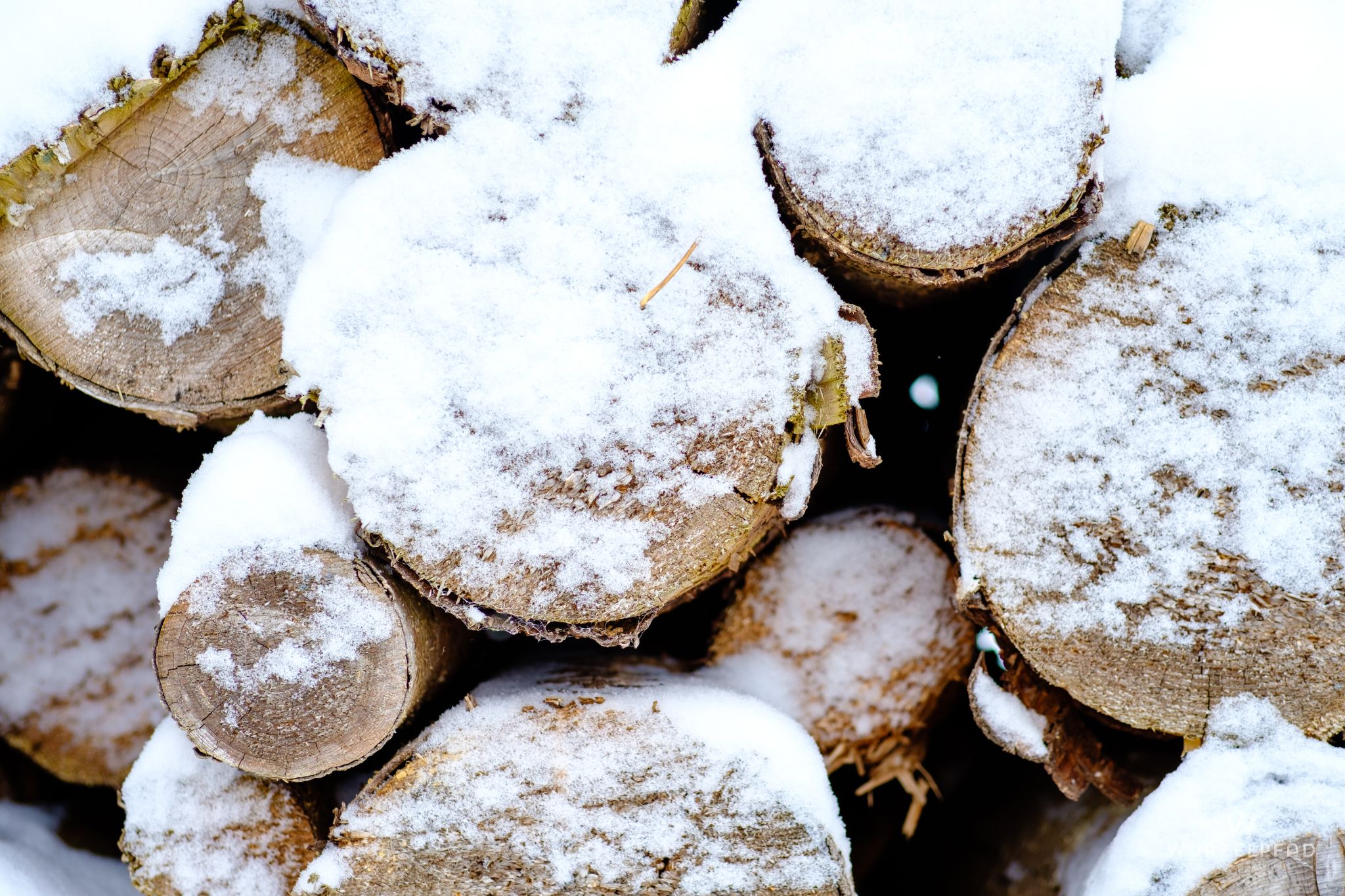 Holzbeuge, Reichertshause, Bayern, Deutschland, 2021